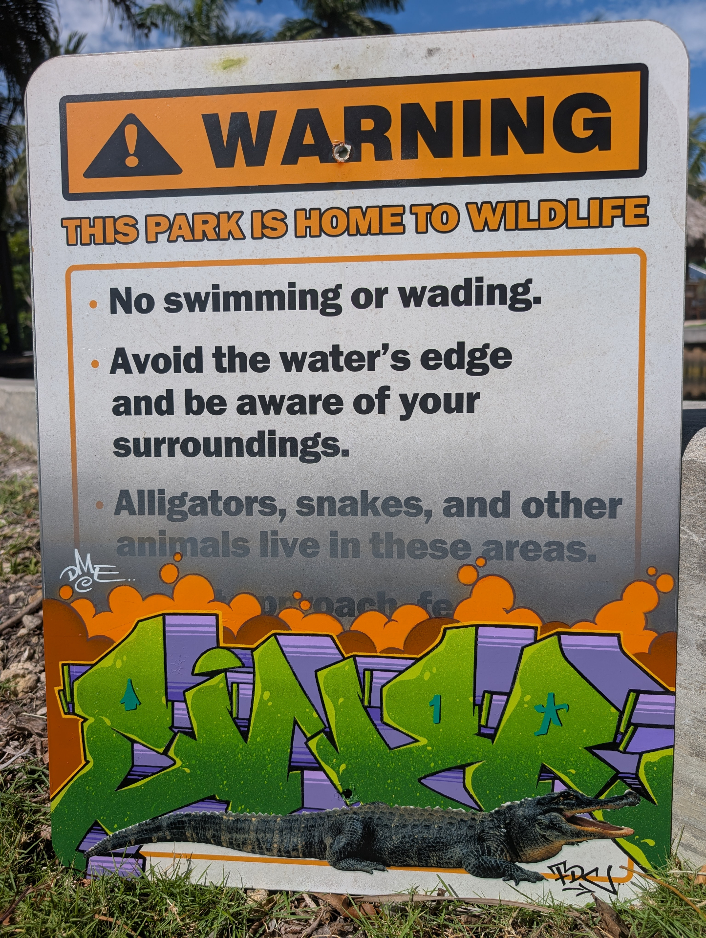 Hand-painted park warning sign with green wildstyle SINER graffiti and alligator